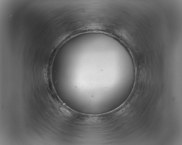 X0000070381162200606161336