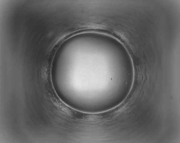 X0000070381163200606161336