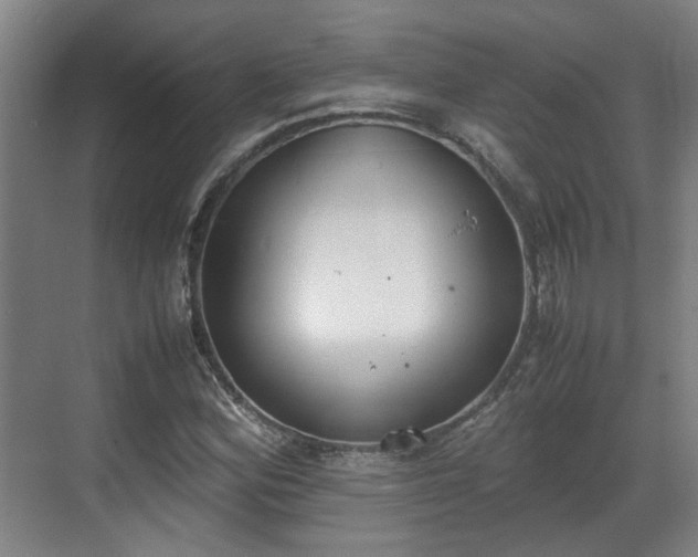 X0000070381164200606161336