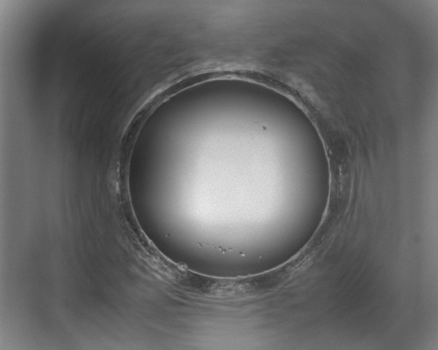 X0000070381165200606161336