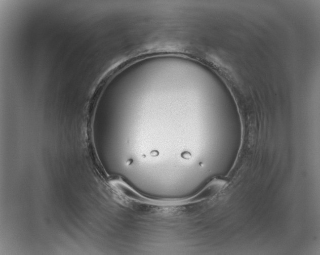 X0000070381166200606161336