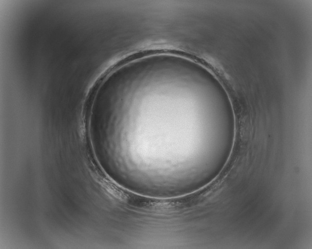 X0000070381167200606161336