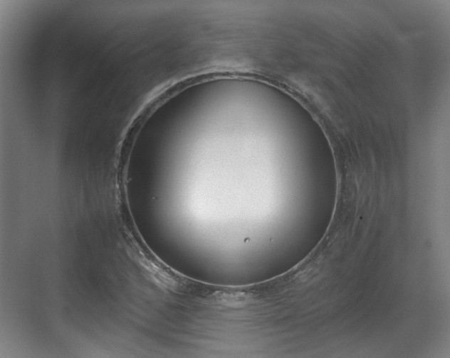 X0000070381168200606161336