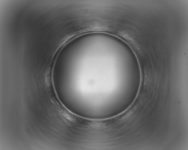 X0000070381170200606161336