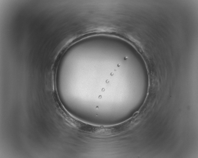 X0000070381171200606161336