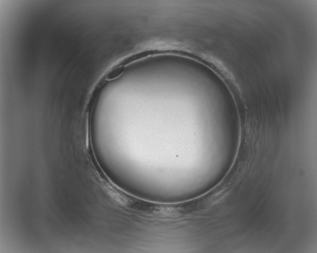 X0000070381175200606161336