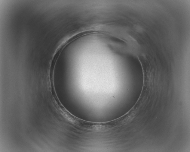 X0000070381176200606161336