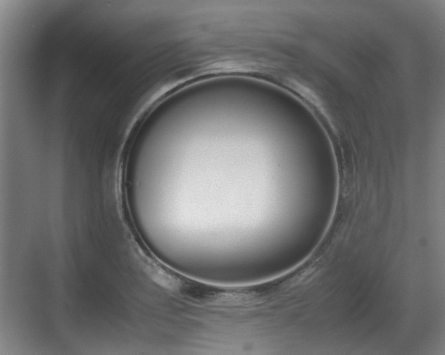 X0000070381179200606161336