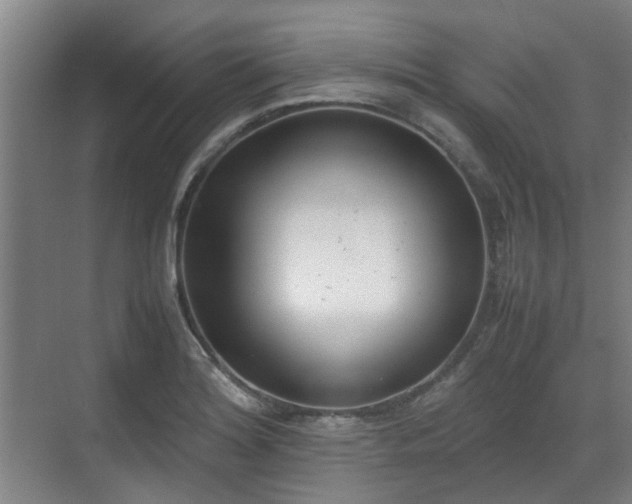 X0000070381180200606161336