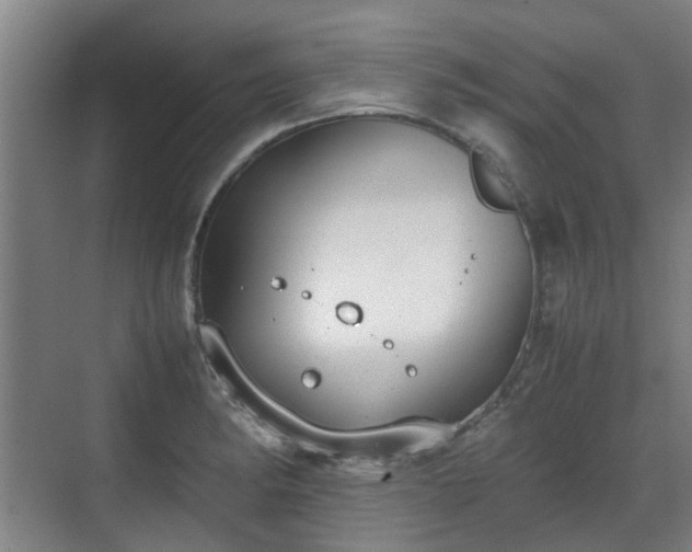 X0000070381182200606161336