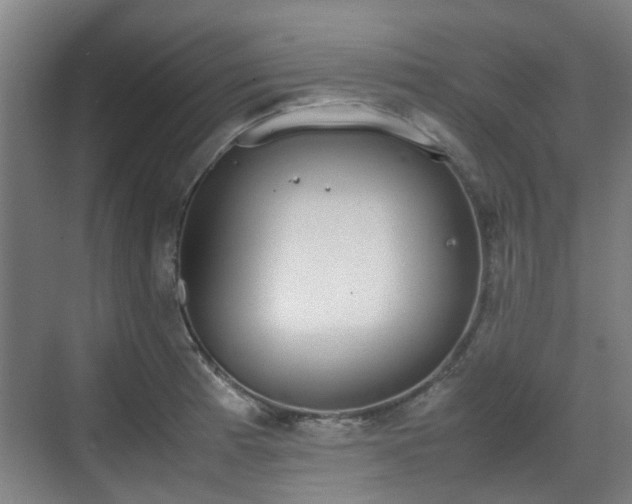 X0000070381185200606161336