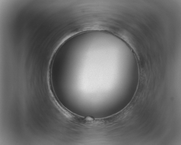 X0000070381187200606161336