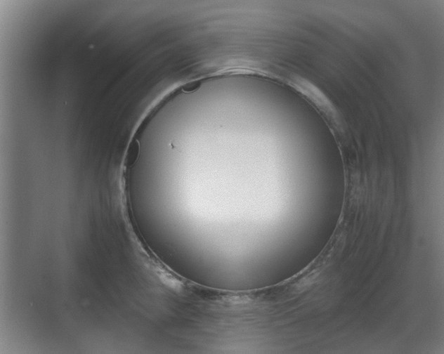 X0000070381190200606161336