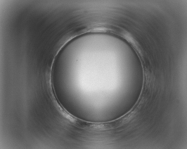 X0000070381194200606161336