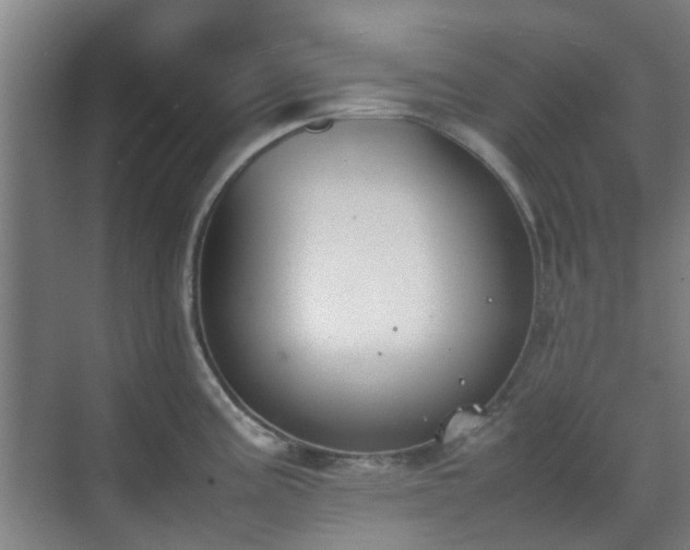 X0000070381195200606161336