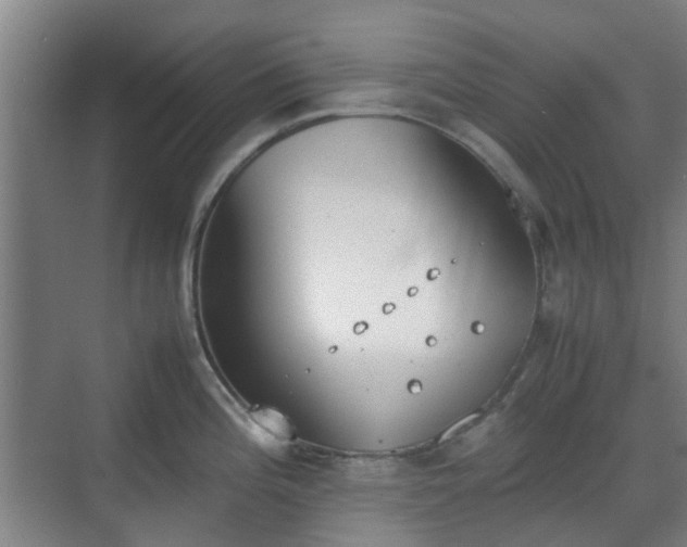 X0000070381196200606161336