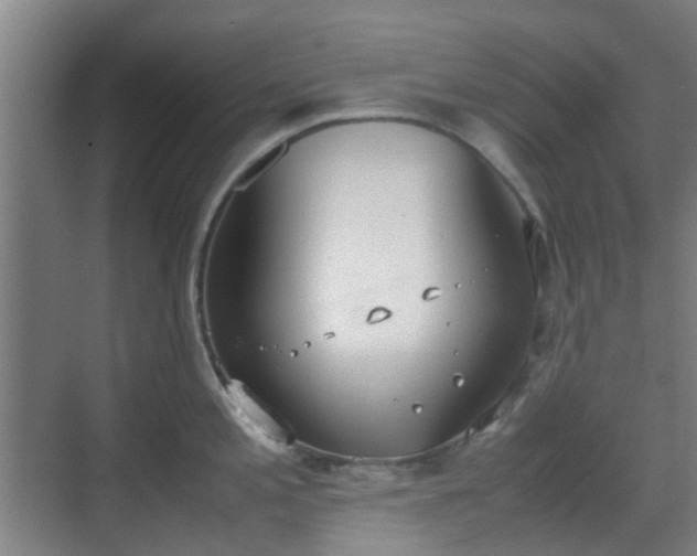 X0000070381197200606161336