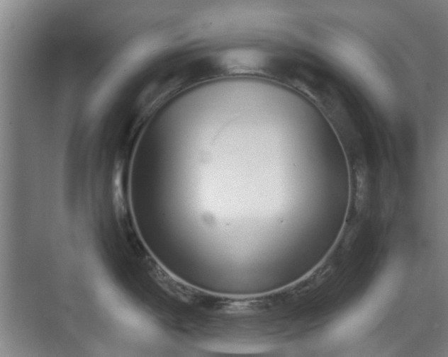 X0000070381198200606161336