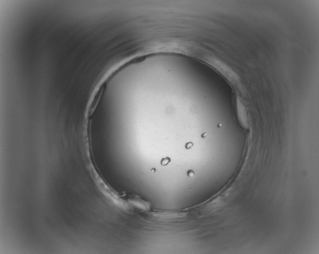 X0000070381200200606161336