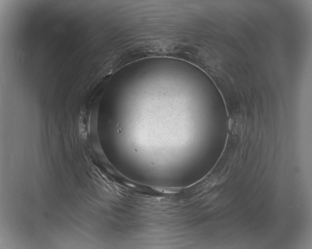 X0000070381202200606161335