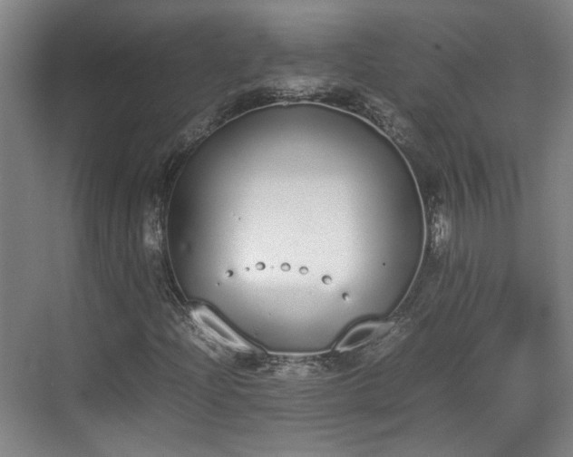 X0000070381204200606161335