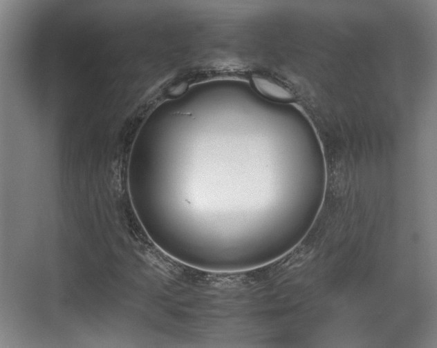 X0000070381205200606161335