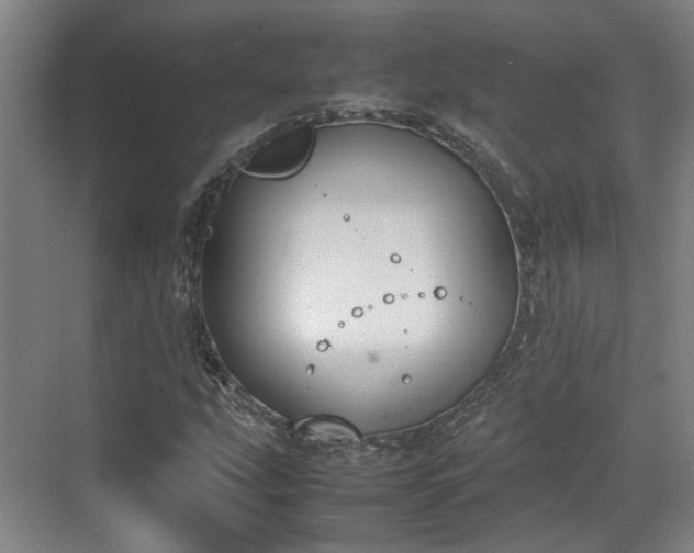 X0000070381207200606161335