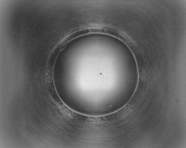 X0000070381208200606161335