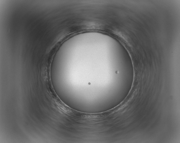 X0000070381211200606161335