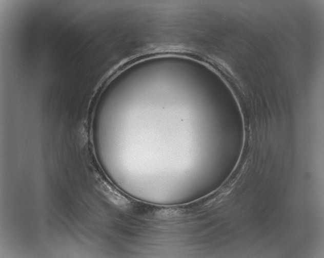 X0000070381212200606161335