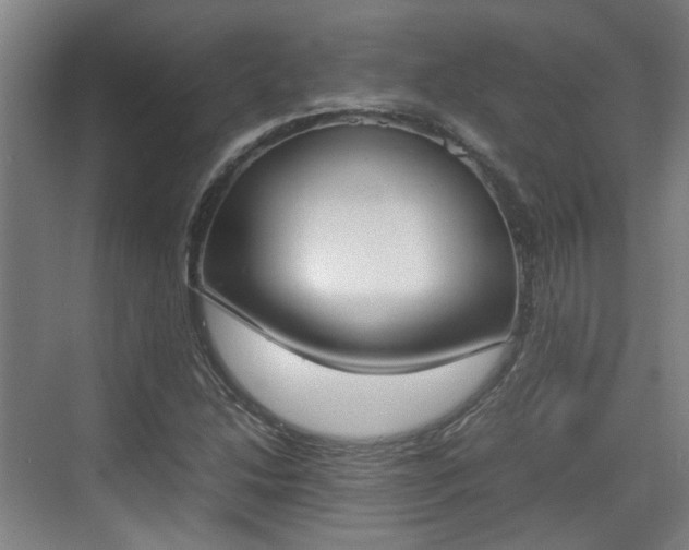 X0000070381214200606161335