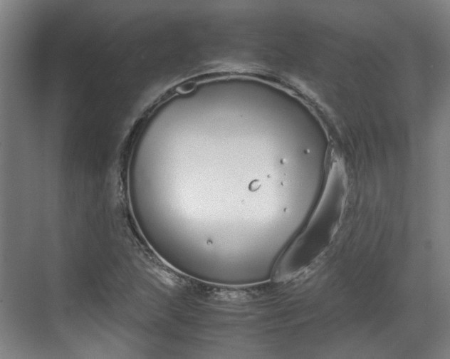 X0000070381215200606161335