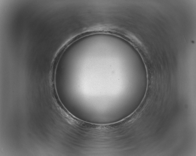 X0000070381216200606161335