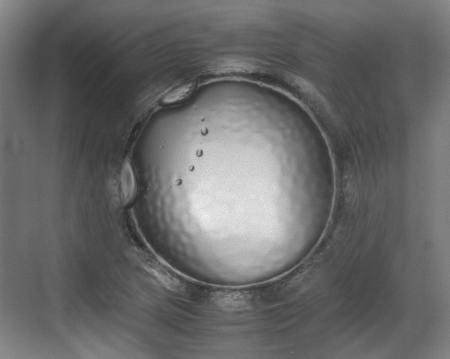 X0000070381217200606161335