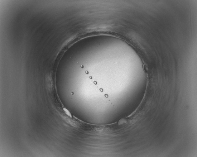 X0000070381218200606161335