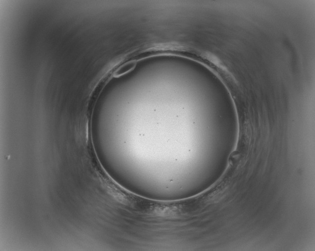 X0000070381221200606161335