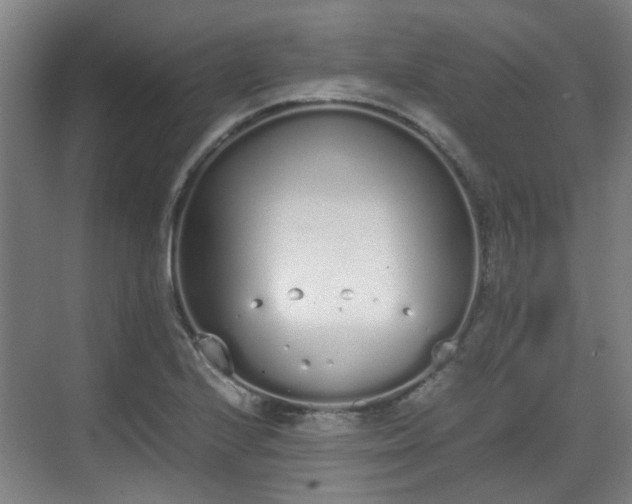 X0000070381224200606161335