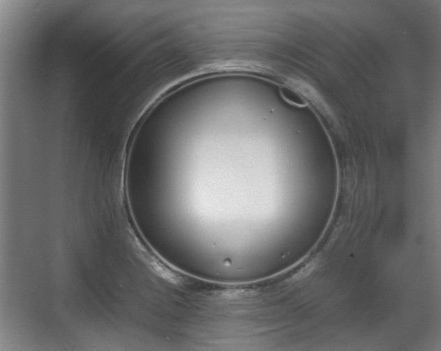 X0000070381228200606161335