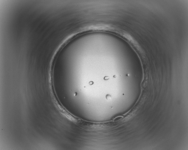 X0000070381232200606161335