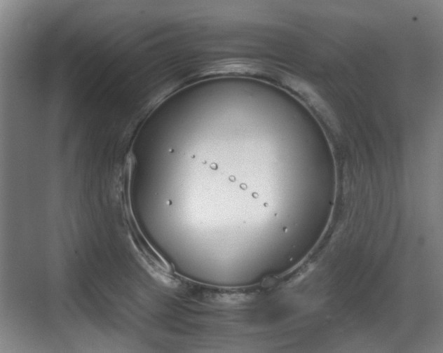 X0000070381233200606161335