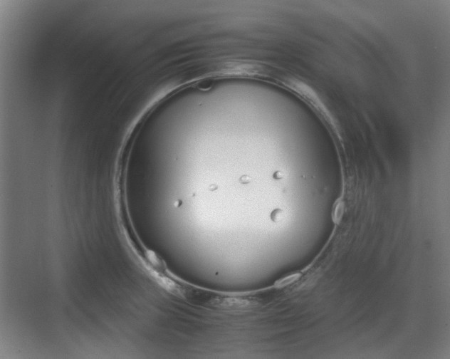 X0000070381235200606161335