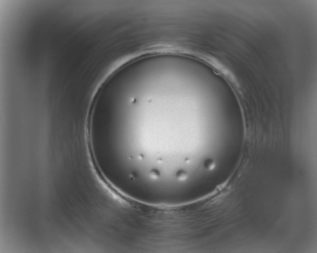 X0000070381239200606161335