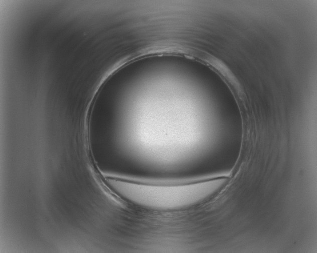 X0000070381242200606161336