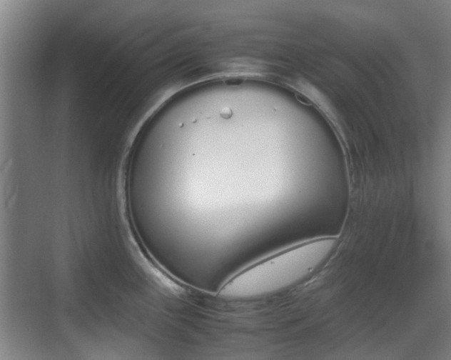 X0000070381243200606161336