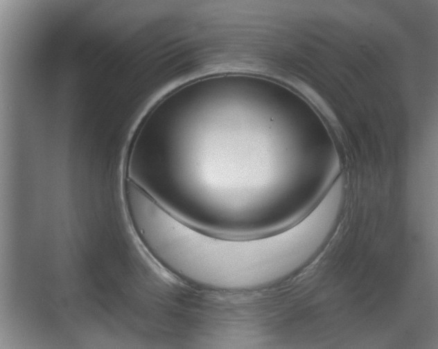 X0000070381246200606161336