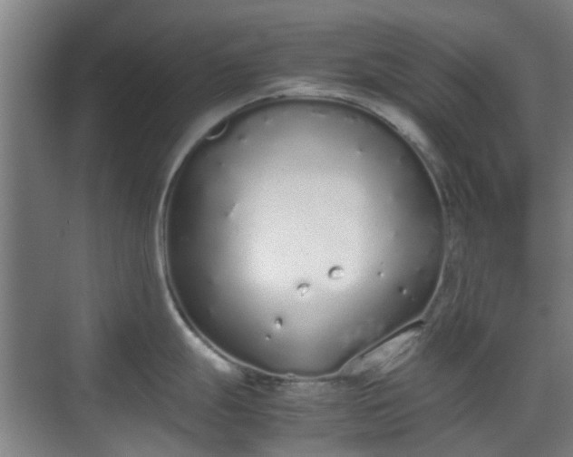 X0000070381247200606161336