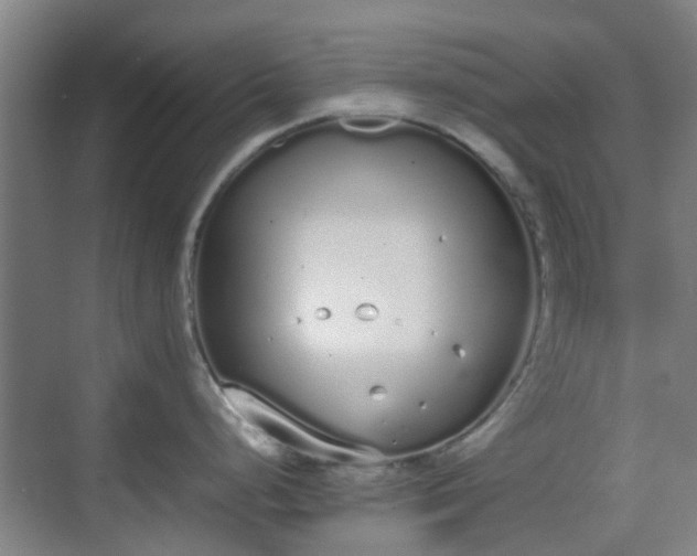 X0000070381248200606161336