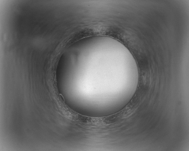 X0000070381249200606161335