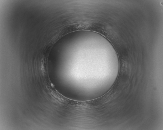 X0000070381250200606161335