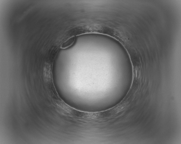 X0000070381251200606161335